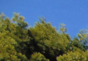 10862, 10781 Palma Vista Ave.